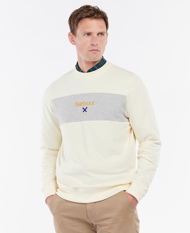 Barbour Honour Panel Crew Men's Sweatshirts Beige | GOUJ-15849