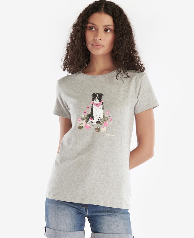 Barbour Beacons Women's T Shirts Grey | NWMK-23504