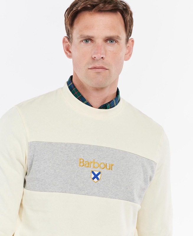 Barbour Honour Panel Crew Men's Sweatshirts Beige | GOUJ-15849